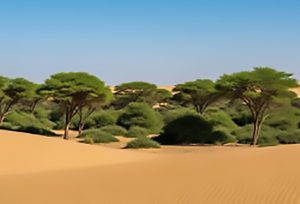 Read more about the article KLIMATSKI ALARMISTI NA APARATIMA: CO<sub>2</sub> POMAŽE U VELIKOM OZELENJAVANJU SAHARE … 🇷🇸